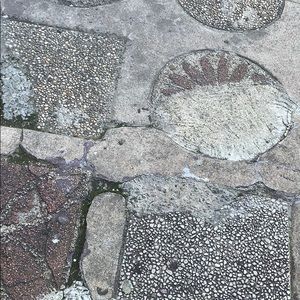 Meet your Posher, Jenelle